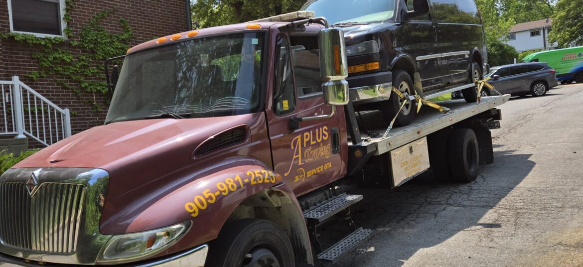 WhatsApp Image 2025-07-19 at 2.07.32 AM