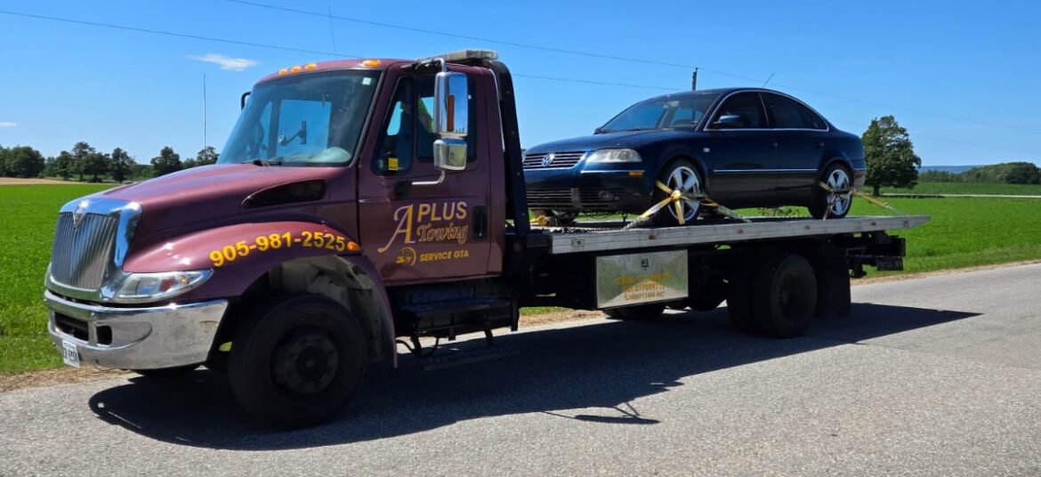 WhatsApp Image 2025-07-23 at 8.53.35 AM